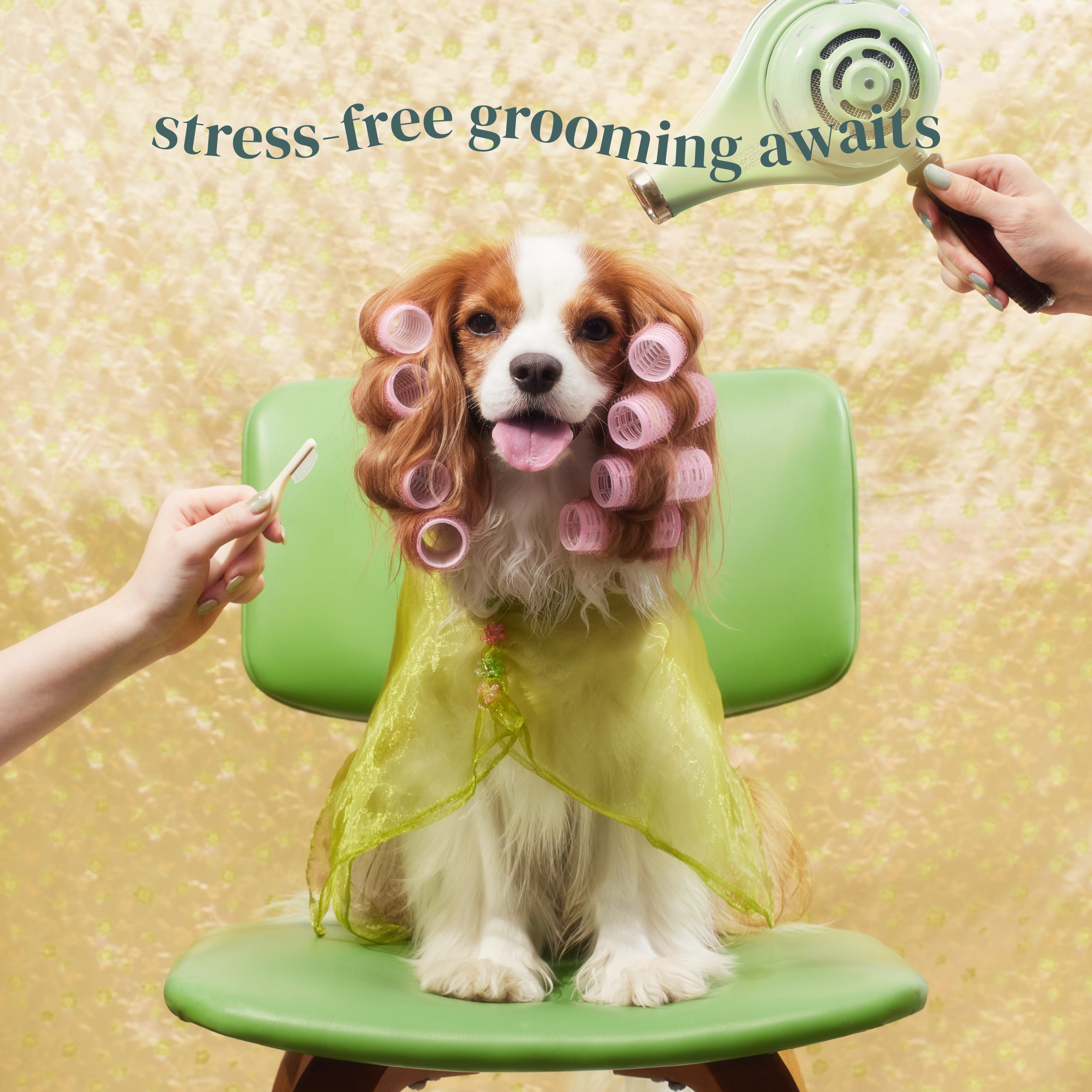 Pet Spa Free Dog Grooming Near Me BRUSH ON ME Pet Facial Eye Comb